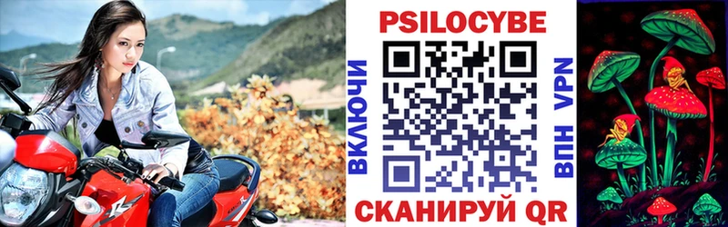 магазин продажи   Можга  Псилоцибиновые грибы мицелий 