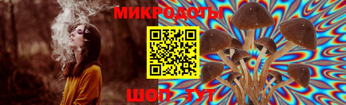 Псилоцибиновые грибы GOLDEN TEACHER  Вход с VPN  Галлюциногенные грибы Cubensis  где можно купить наркотик  Можга 